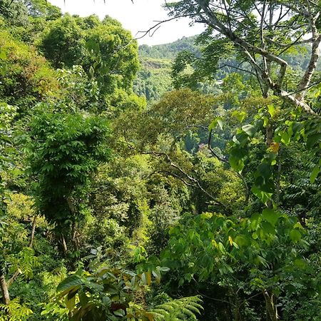 On The Rocks Bungalows, Restaurant And Jungle Trekking Tours บูกิตลาวัง ภายนอก รูปภาพ
