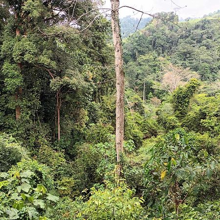 On The Rocks Bungalows, Restaurant And Jungle Trekking Tours บูกิตลาวัง ภายนอก รูปภาพ