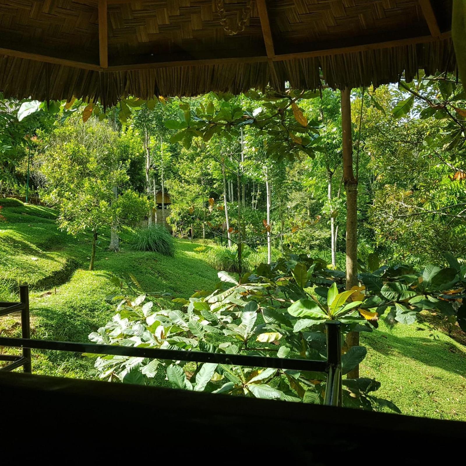 On The Rocks Bungalows, Restaurant And Jungle Trekking Tours บูกิตลาวัง ภายนอก รูปภาพ