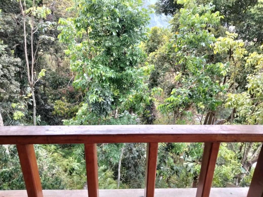 On The Rocks Bungalows, Restaurant And Jungle Trekking Tours บูกิตลาวัง ภายนอก รูปภาพ