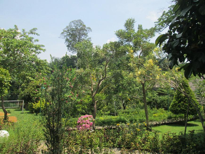 On The Rocks Bungalows, Restaurant And Jungle Trekking Tours บูกิตลาวัง ภายนอก รูปภาพ